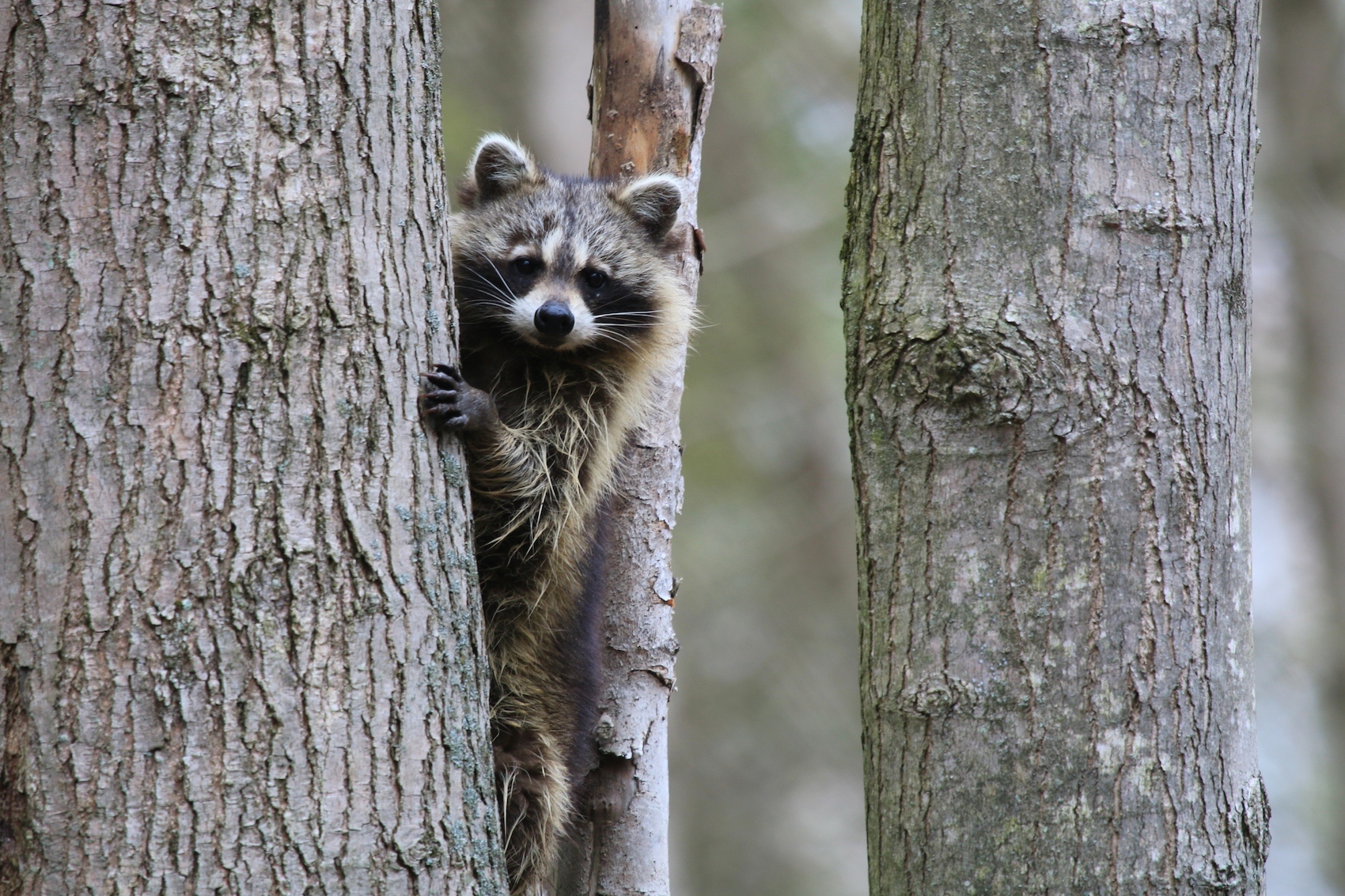 You might be surprised by who is watching you while you are watching them.