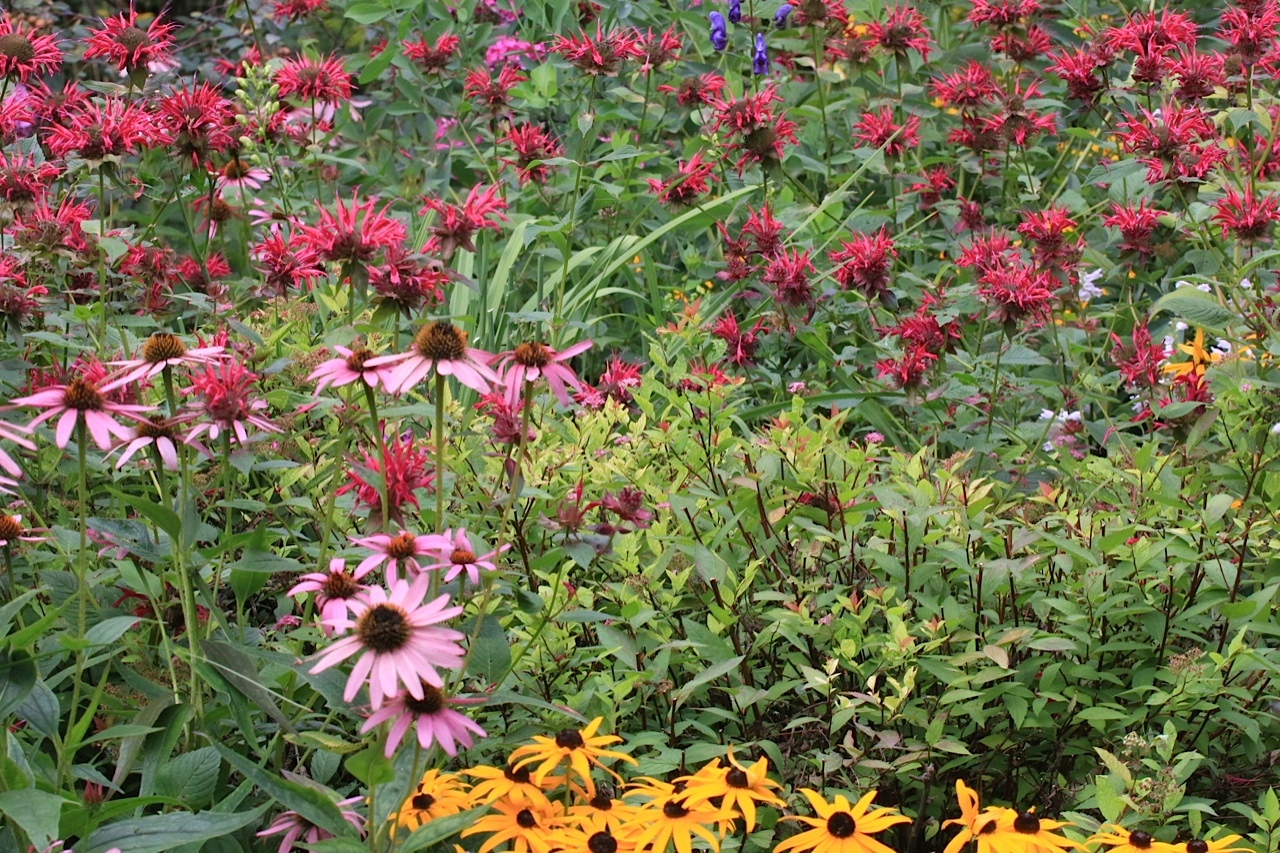 wildlife gardening ontario